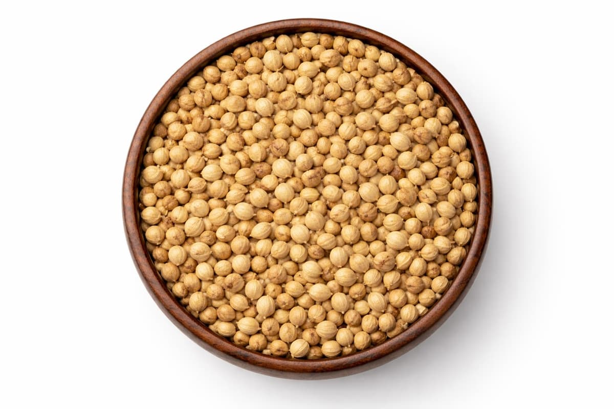 Premium Whole Coriander Seeds Machine Cleaned Export Quality